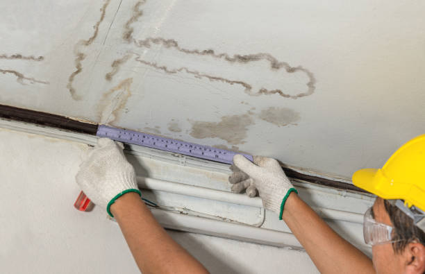 Reliable Water Damage Restoration contractor in Leslie, MI by Water Damage Irwin